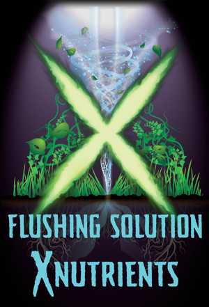 flushing_300.jpg