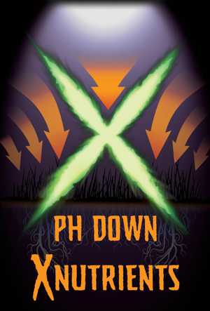 phdown_300.jpg