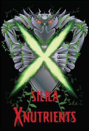 silica_300.jpg